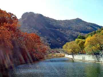 新澳天天开奖资料大全旅游团，傲虎油耗